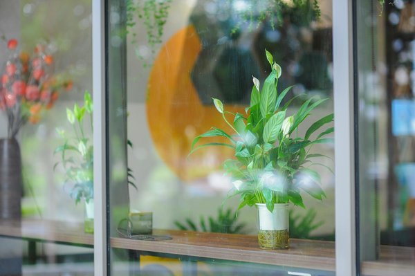 Explorer les ressources naturelles : potentiels lucratifs et défis à anticiper